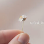 used to by Alaina Castillo